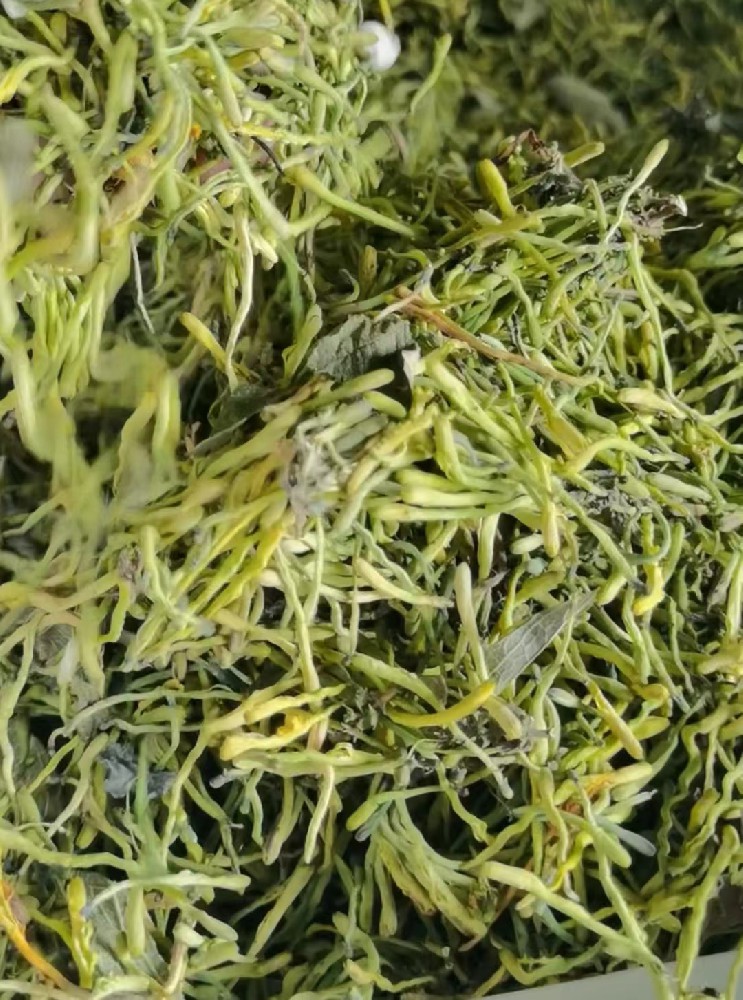 烘干工艺分析---金银花鲜花烘干工艺